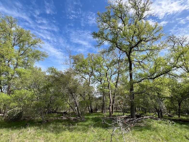 Cunningham Dr Dr, Lockhart, TX for sale - Primary Photo - Image 3 of 14