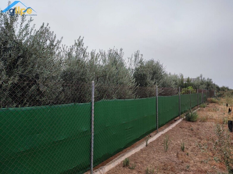 Land in Arahal for sale - Building Photo - Image 3 of 6