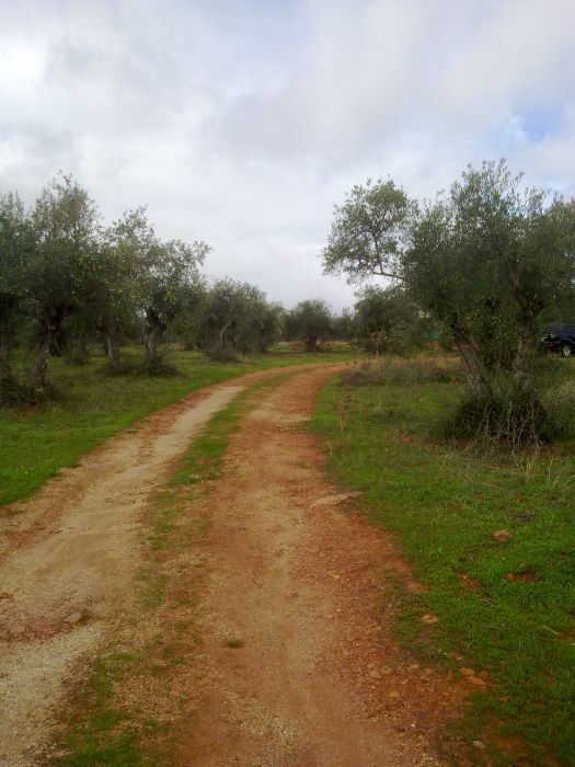 Land in Cáceres for sale Building Photo- Image 1 of 6