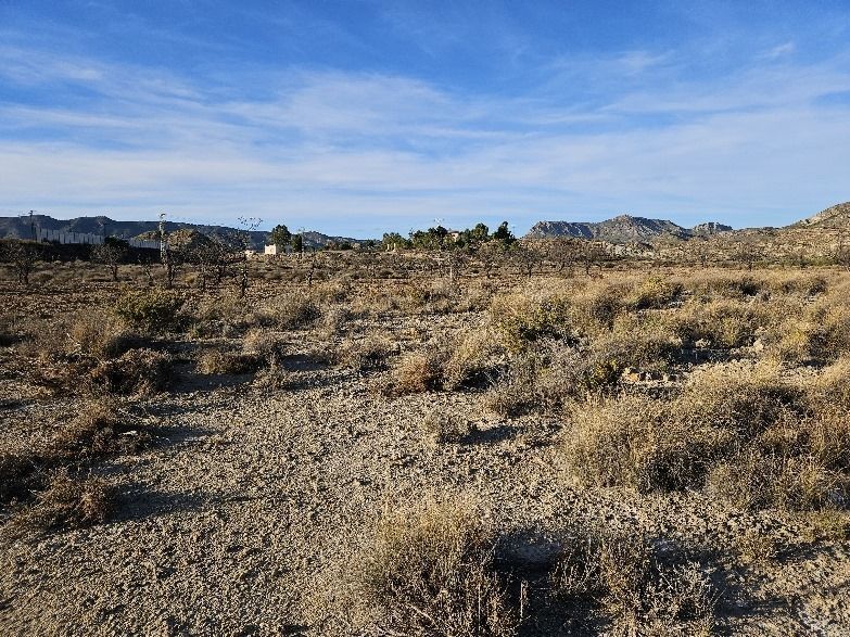 Land in Elda for sale - Building Photo - Image 3 of 5