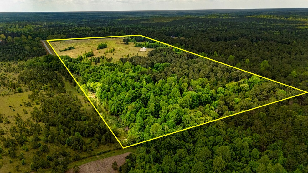 423 Coweta Heard Rd, Hogansville, GA for sale - Aerial - Image 3 of 7