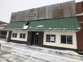More details for 206 Towner Ave, Larimore, ND - Office for Sale