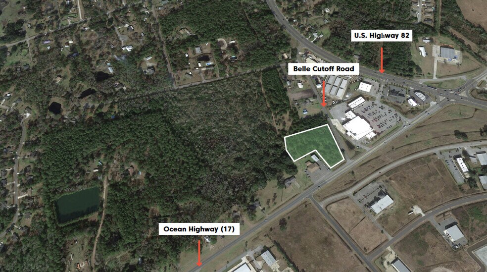 135 Belle Cutoff Rd, Brunswick, GA for sale - Aerial - Image 1 of 1