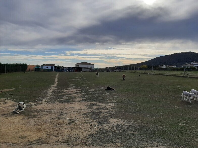 Land in Cáceres for sale - Building Photo - Image 2 of 15