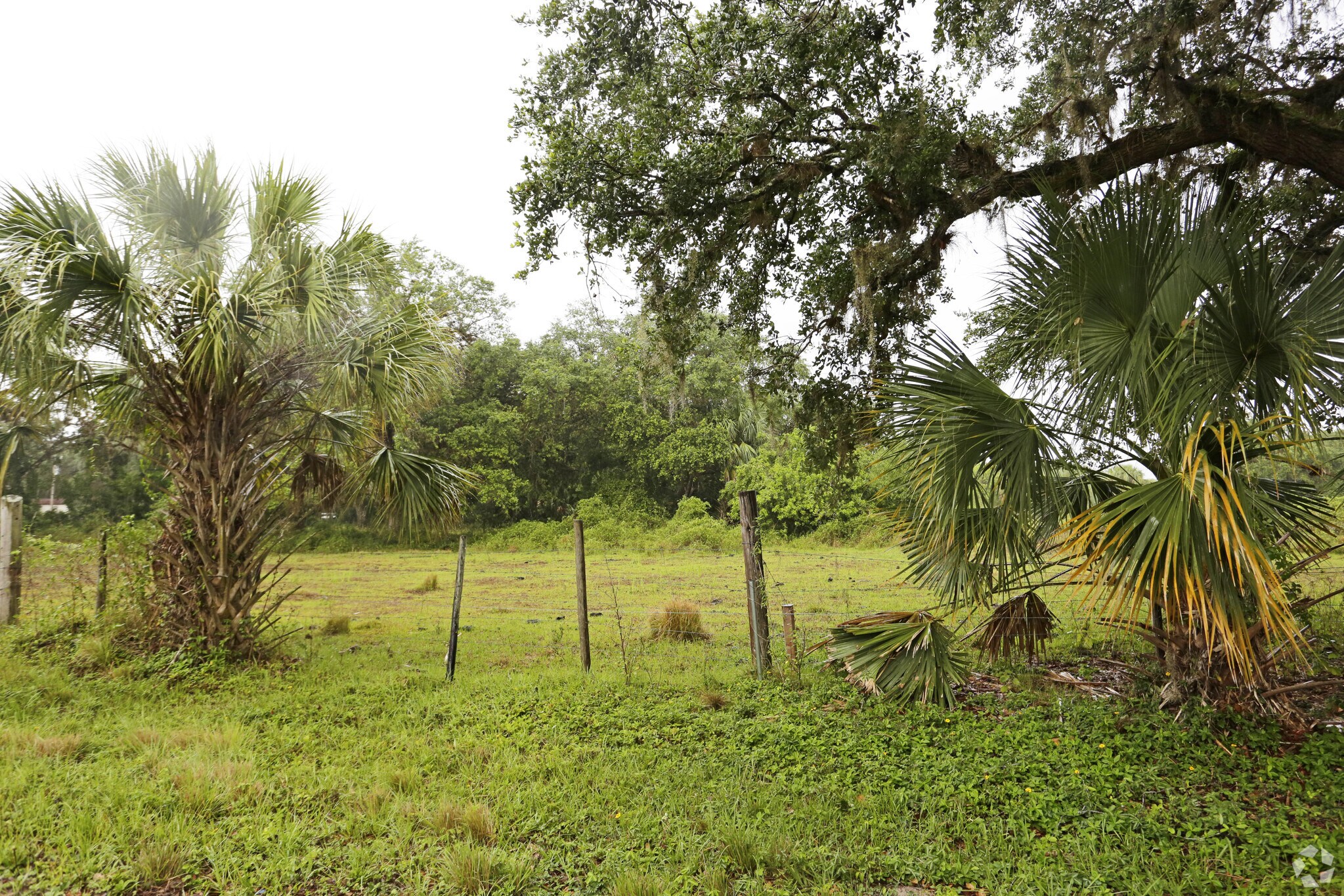 9100 Main Ave, Palmdale, FL for sale Primary Photo- Image 1 of 1