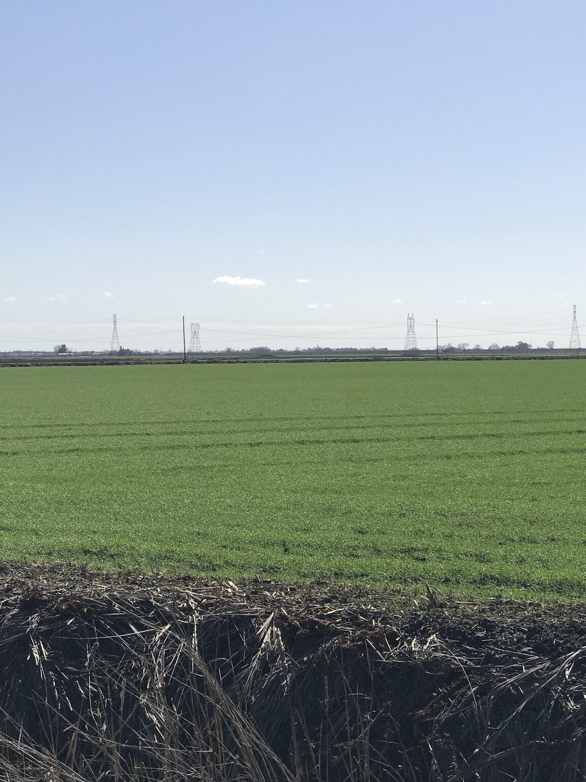 7700 Jacobs Rd, Stockton, CA for sale Other- Image 1 of 1