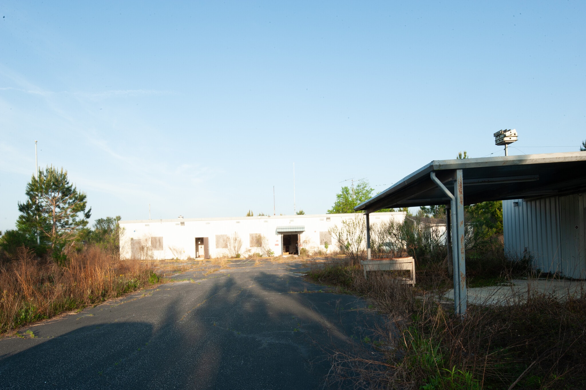 County Road 425 Near Ivy Durrence Road, Glennville, GA for sale Primary Photo- Image 1 of 3