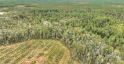 County Road 133, Willacoochee GA - 1031 Exchange Property