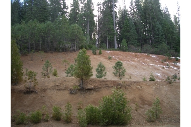 1359 Highway 4, Arnold, CA for sale - Other - Image 3 of 3