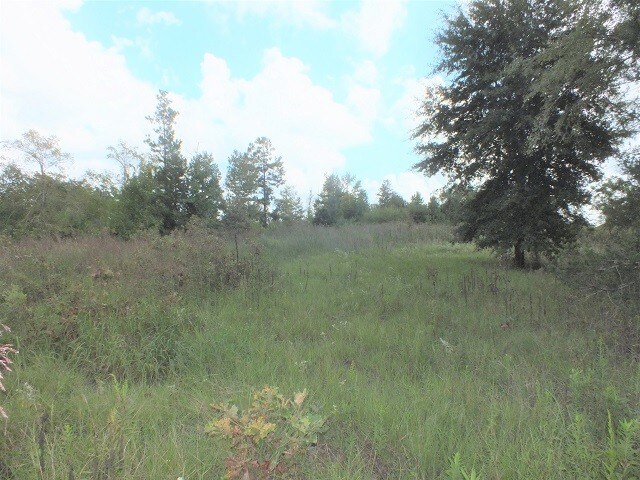 HWY 69, Alto, TX for sale Other- Image 1 of 1