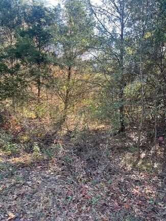 More details for Goff Cir, Alma, AR - Land for Sale