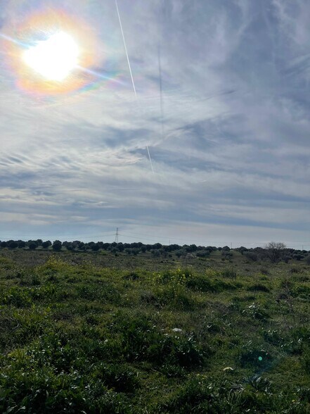 Calle Carretera CM-4010, Seseña Nuevo, Toledo for sale - Other - Image 2 of 4