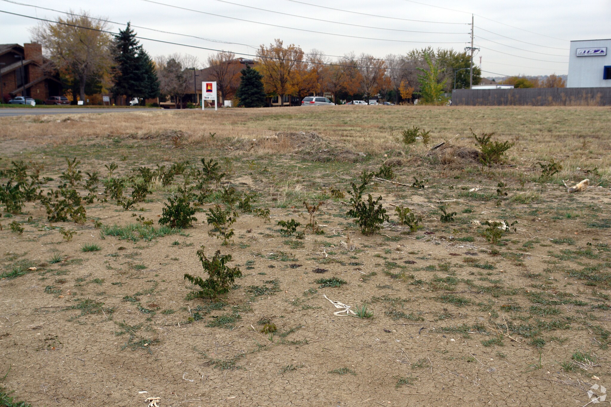 5445 Ward Rd, Arvada, CO for sale Primary Photo- Image 1 of 1