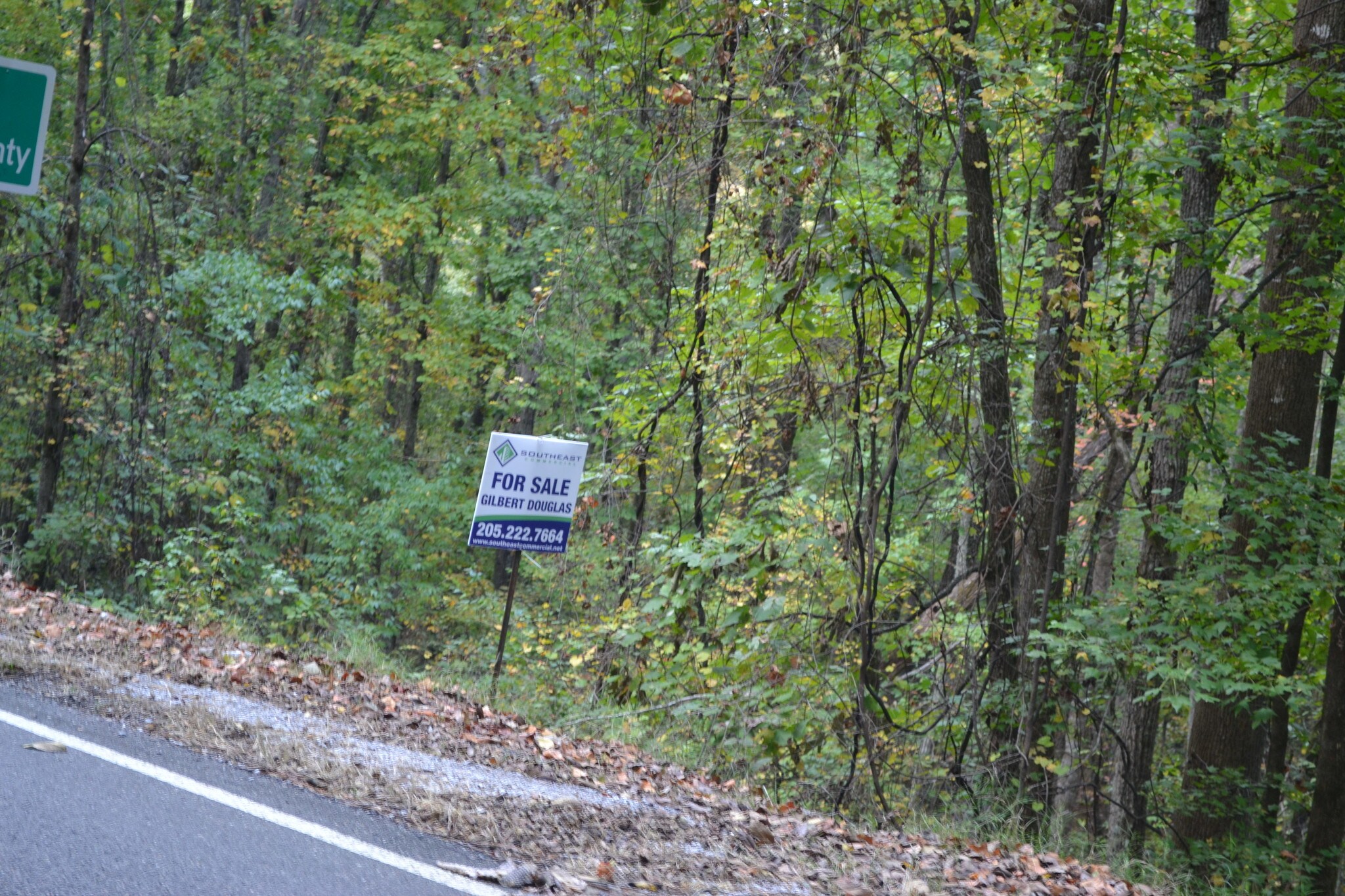 9100 Bluff Ridge Rd, Bessemer, AL for sale Primary Photo- Image 1 of 1