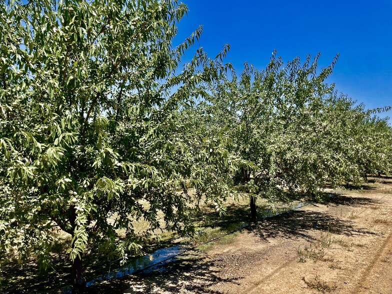 Whitworth rd, Gustine, CA for sale - Other - Image 3 of 9