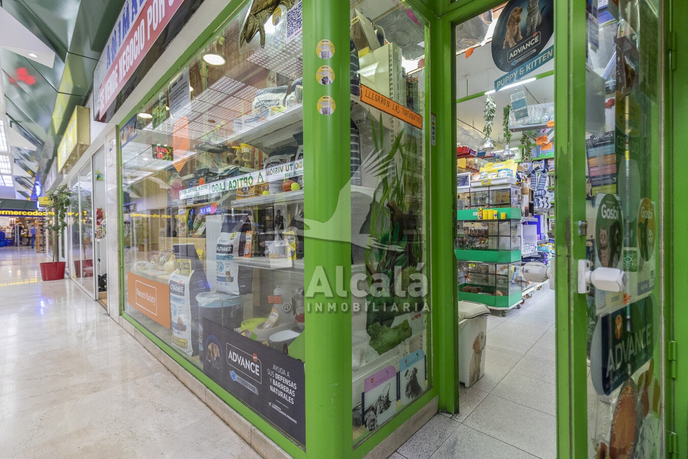 Coslada, MAD 28820 - - - Interior Photo - Image 1 of 7