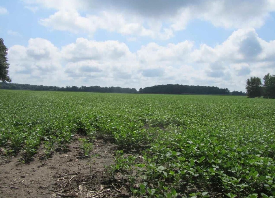 Capac Rd, Armada, MI 48005 - Land for Sale | LoopNet