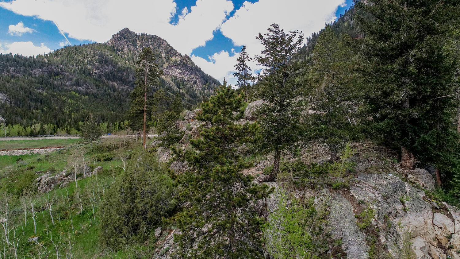 160 Forest dr, Frisco, CO 80443 Land for Sale