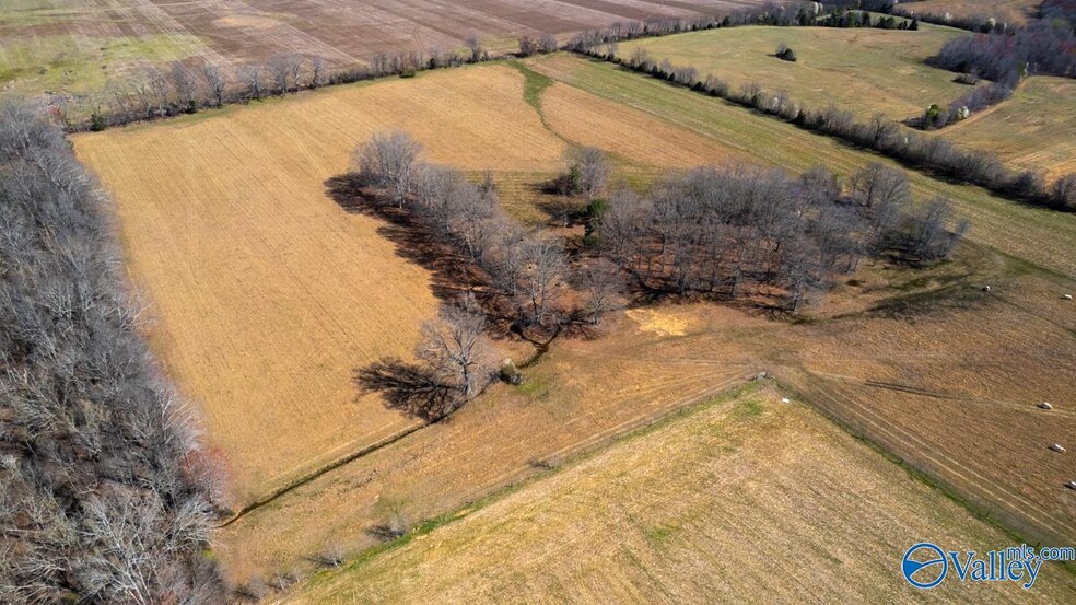 0 Ready Section Rd, Toney, AL for sale - Primary Photo - Image 1 of 2