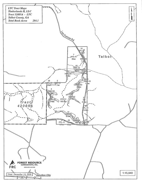 Talbot County Tract 32005A, Junction City, GA for sale - Site Plan - Image 2 of 2