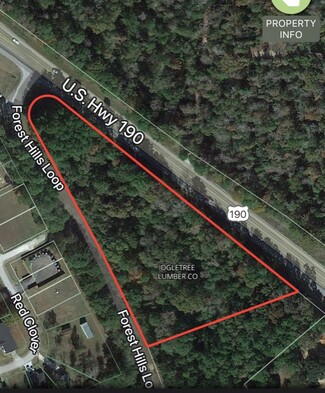 More details for 10916 W US Highway 190, Livingston, TX - Land for Sale