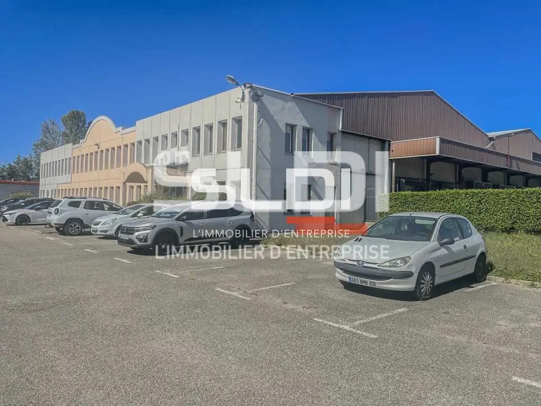 Flex in SAINT-SYMPHORIEN-D'OZON for lease Building Photo- Image 1 of 9
