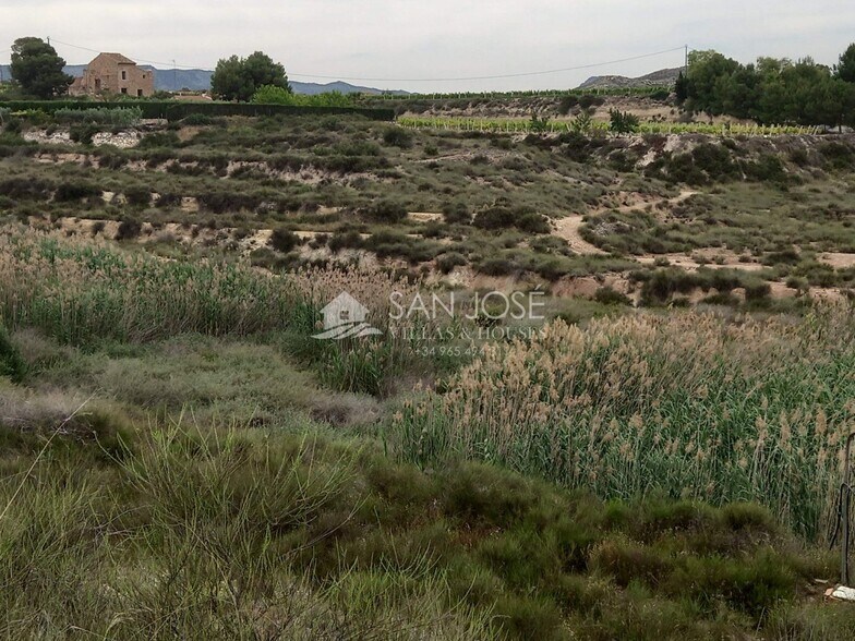 Land in Monóvar for sale - Building Photo - Image 3 of 17