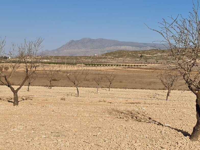 Land in Jumilla for sale - Building Photo - Image 2 of 9