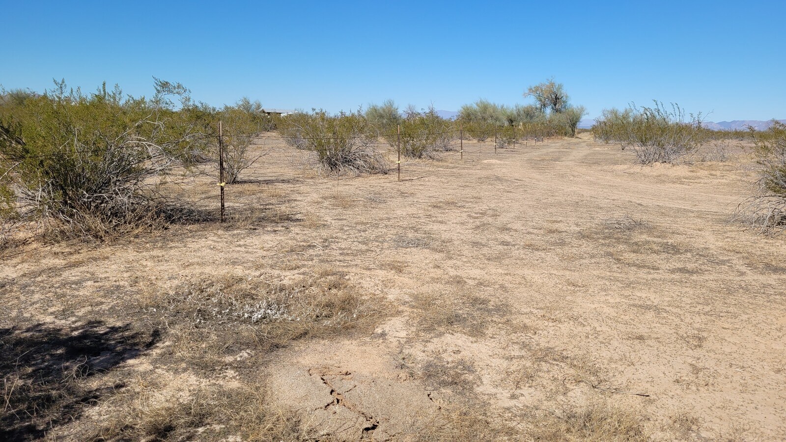 67XX W 543rd, Tonopah, AZ 85354