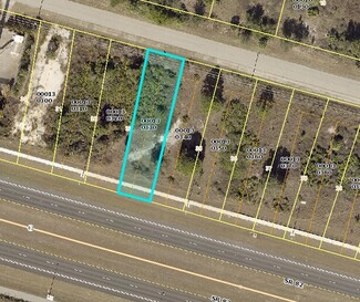 More details for 3364-3366 Meadow Rd, Lehigh Acres, FL - Land for Sale