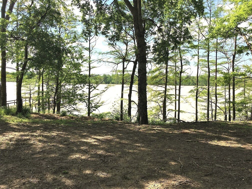 10 Neil Cv, Dundee, MS 38626