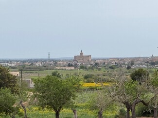 More details for Camí Vel de Porreres, 2, Algaida - Land for Sale