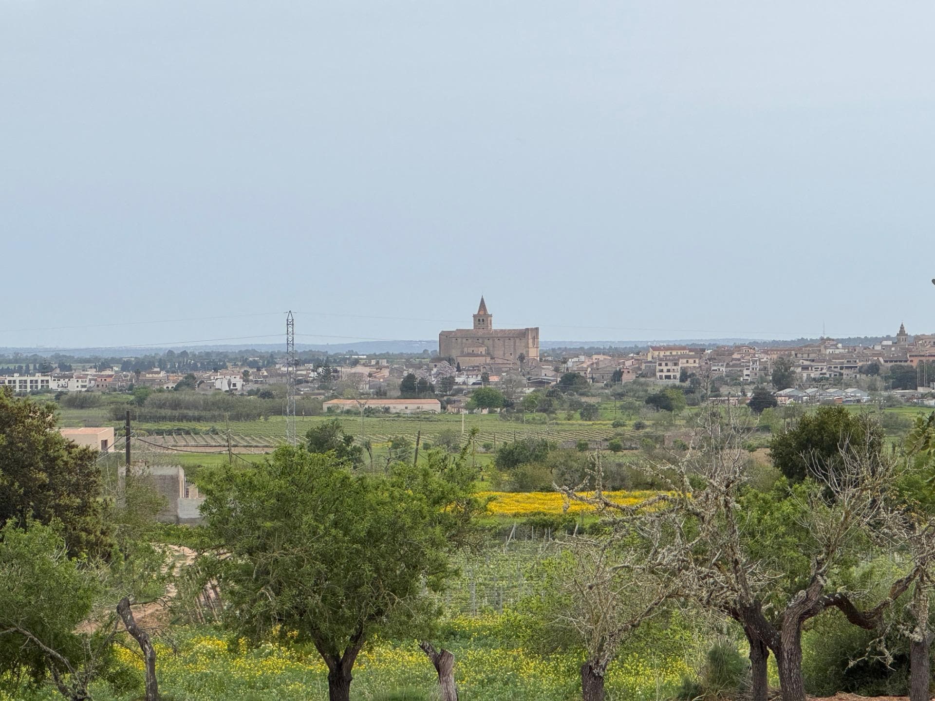 Camí Vel de Porreres, 2, Algaida, Islas Baleares for sale Building Photo- Image 1 of 37