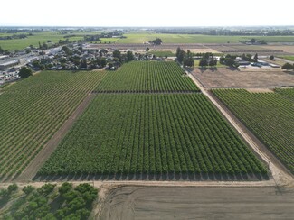 More details for 17490 N Bruella Rd, Lodi, CA - Land for Sale