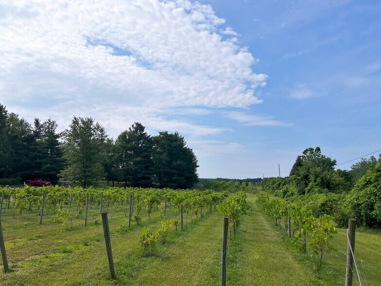 1261 E Munger Rd, Tecumseh, MI 49286 Winery, Vineyard, Brewery, FarmTecumseh