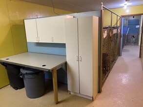 Windsor dog hot sale kennel