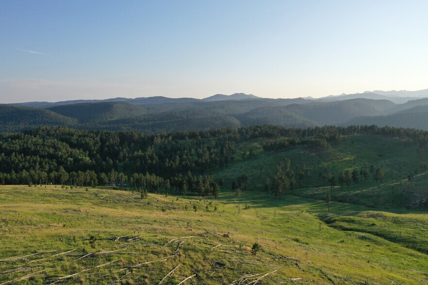 Rushmore Ranch Rd, Keystone, SD 57751 295 Acres