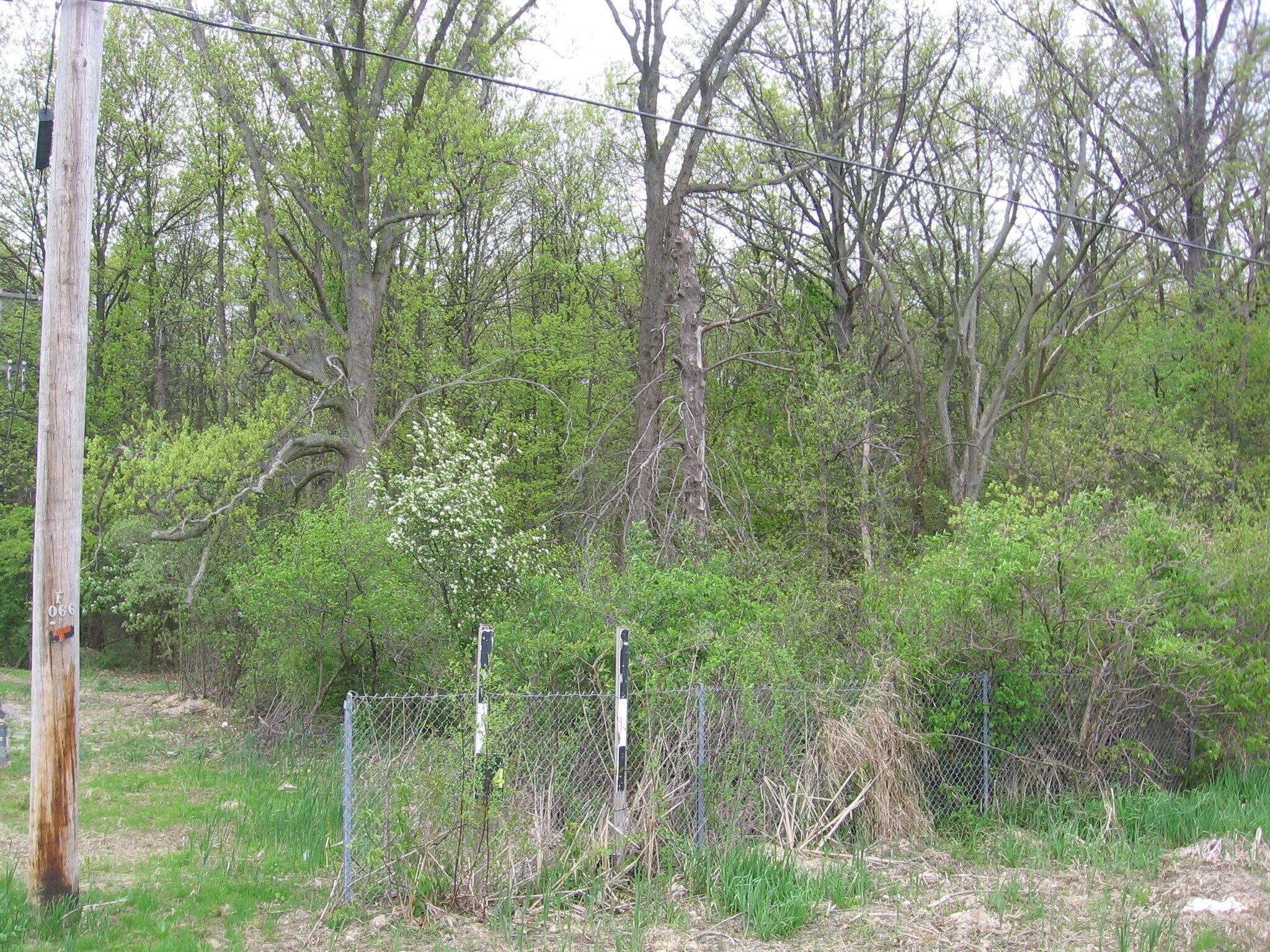 V L Grove Ave, Lorain, OH for sale Other- Image 1 of 1