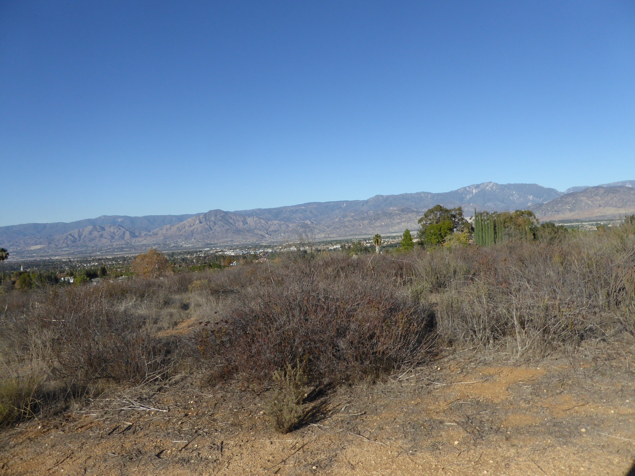 Opal St, Redlands, CA for sale Other- Image 1 of 1