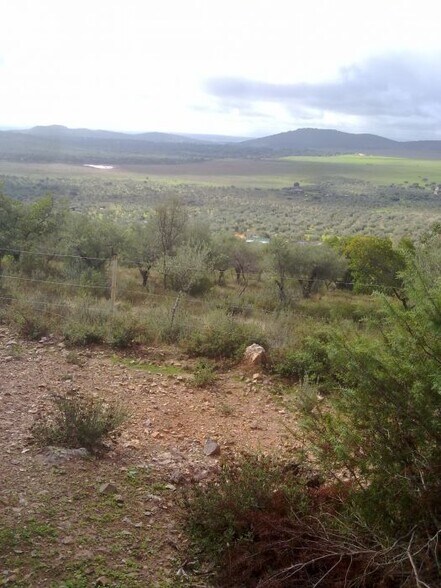 Land in Cáceres for sale - Building Photo - Image 3 of 5
