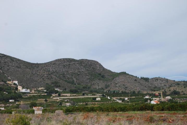 Land in Pego for sale - Building Photo - Image 3 of 8