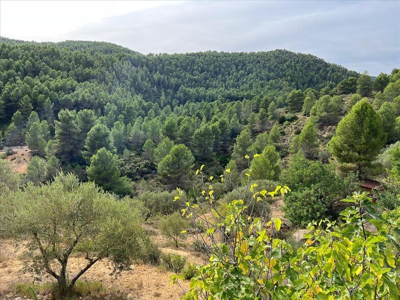 Land in Buñol for sale - Building Photo - Image 2 of 12