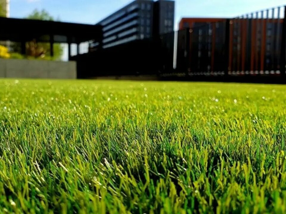 Land in Saint-Dié-des-Vosges for sale Building Photo- Image 1 of 2