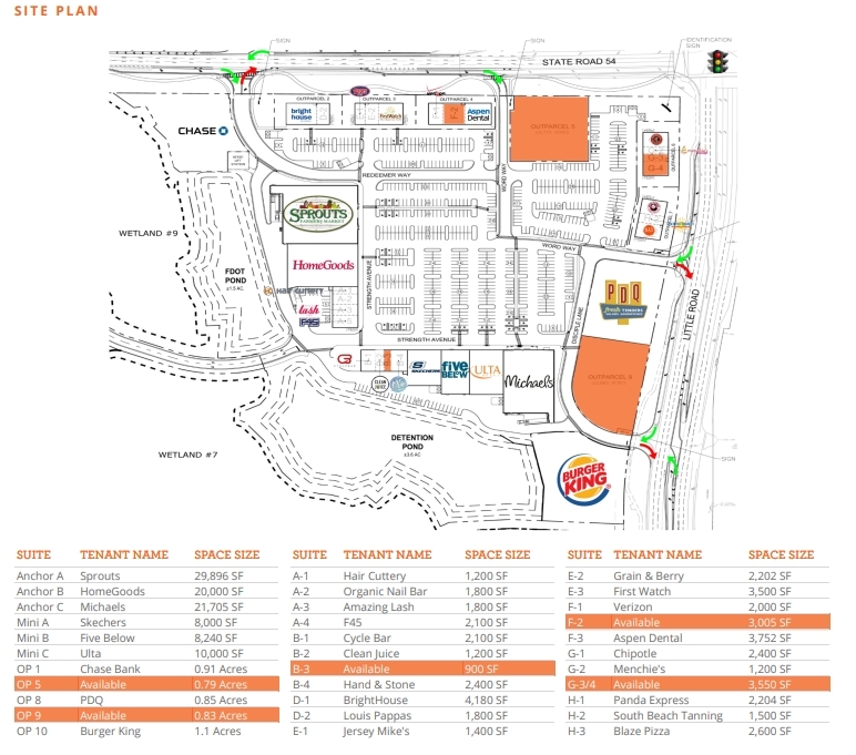 3139 Little Rd, Trinity, FL for sale Site Plan- Image 1 of 1