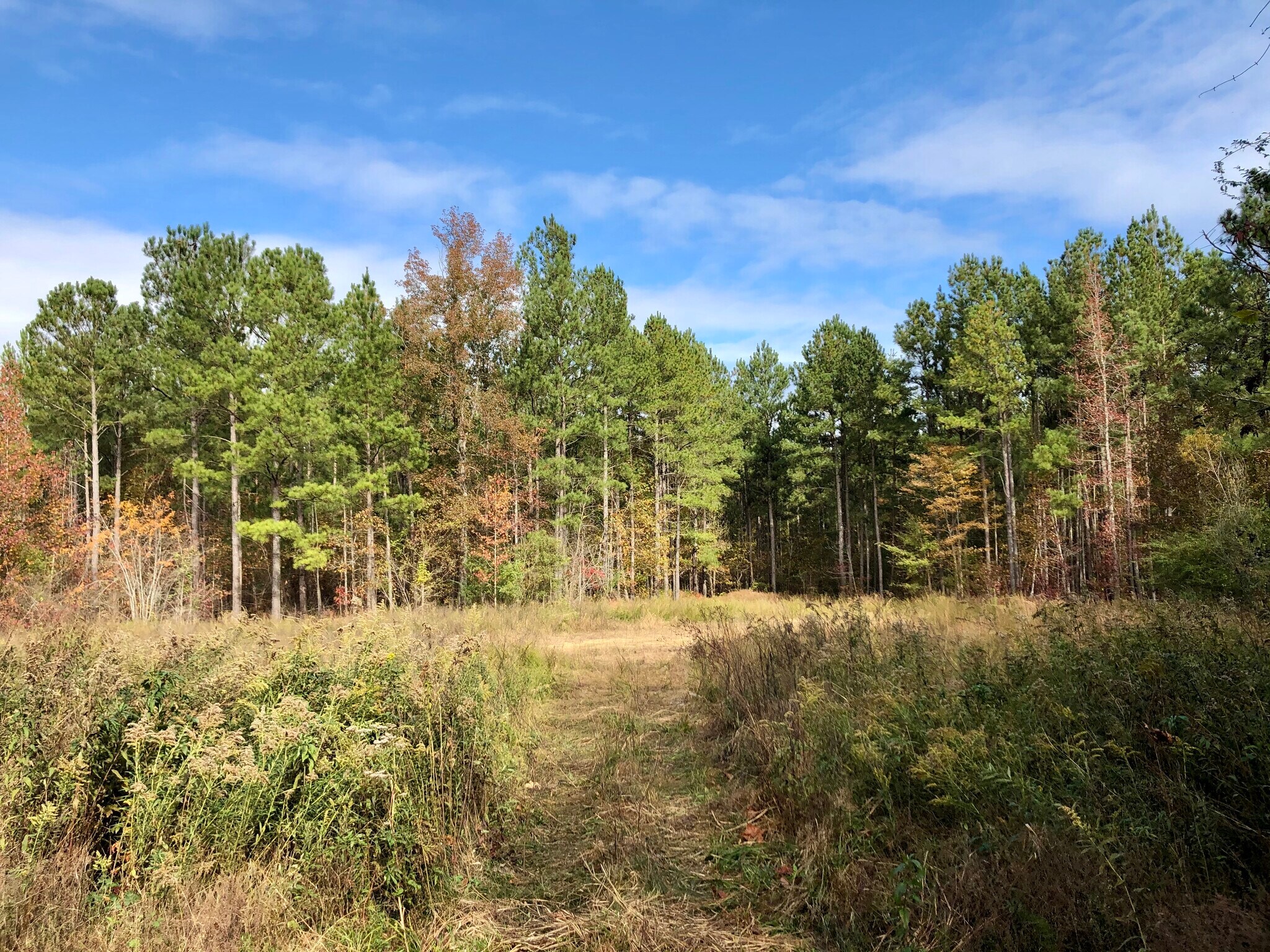 Manning Lake, Rome, GA 30165 Land for Sale