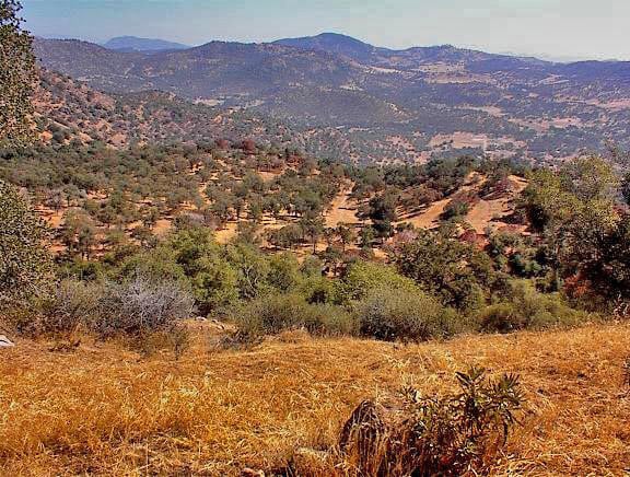 38176 Cardinal, Yokuts Valley, CA for sale - Primary Photo - Image 2 of 38