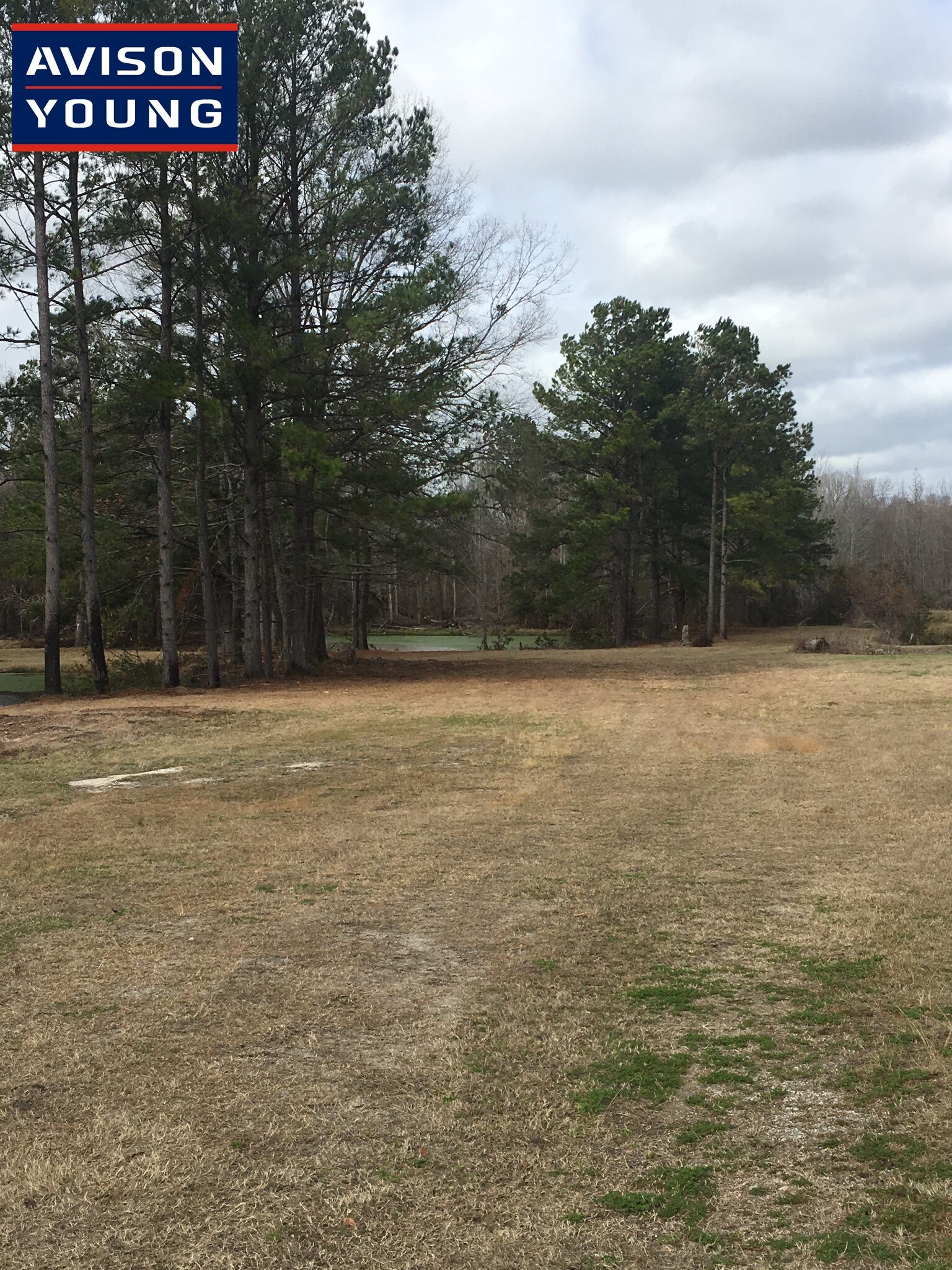 Old Jacksonboro Rd, Adams Run, SC for sale Other- Image 1 of 1