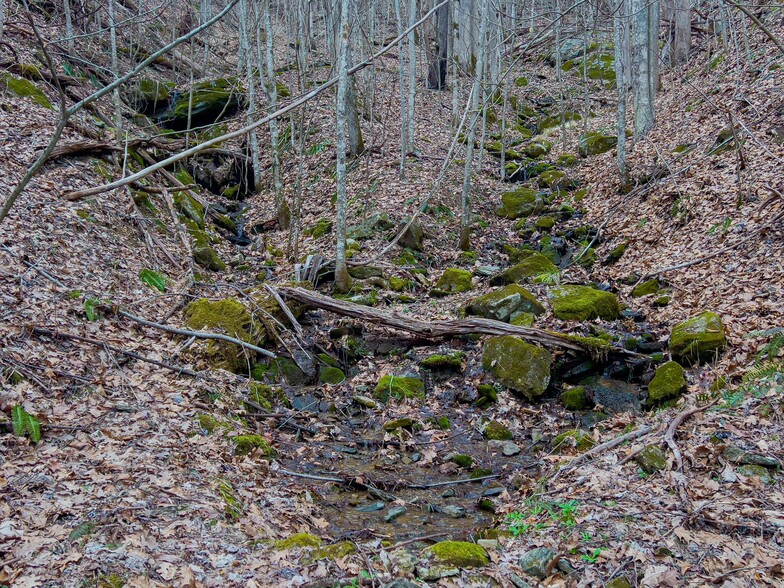 Tbd Spillcorn Rd, Marshall, NC for sale - Building Photo - Image 3 of 53