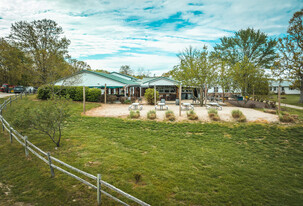 Winery, Event Venue, 53 acres on Old Rt 66 - Vineyard