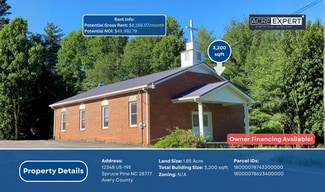 More details for 12348 S Us 19e Hwy, Spruce Pine, NC - Specialty for Sale